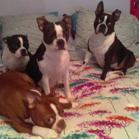 Meet My Shipping Department - Picture 1 of 6